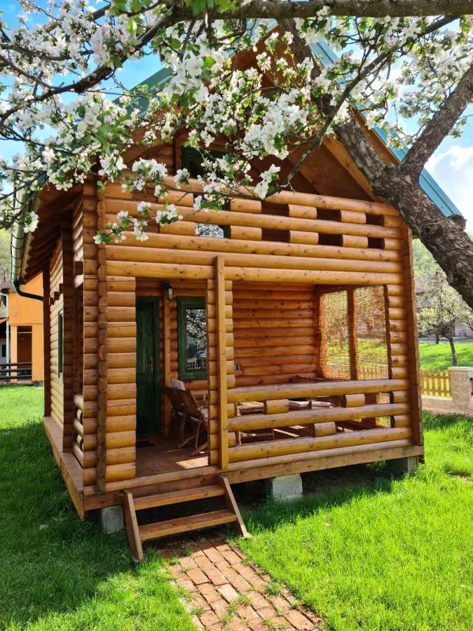 Guest House Green Garden Mojkovac Eksteriør billede