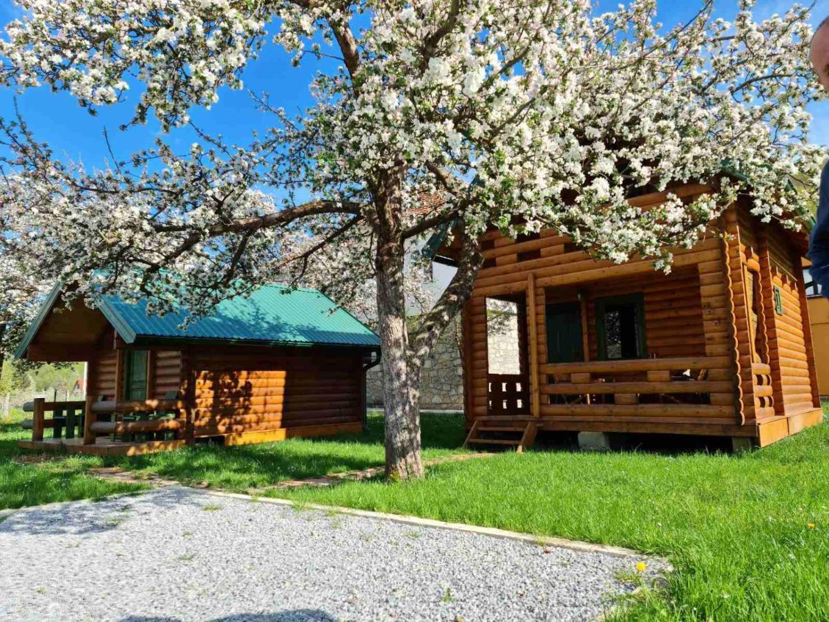 Guest House Green Garden Mojkovac Eksteriør billede